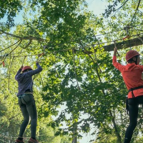 Urban Gardens Gent - Camping Oost-Vlaanderen - Afbeelding N°4
