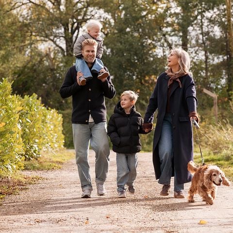 VAKANTIEHUIS 6 personen - Amalia met Sauna en Hottub