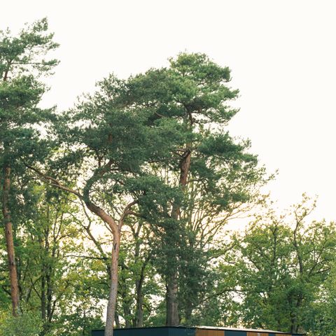 Lodge 2 personen - Waterlodge met hottub