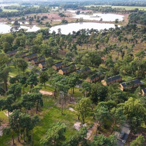 Lodge 6 personen - Boslodge met hottub & sauna