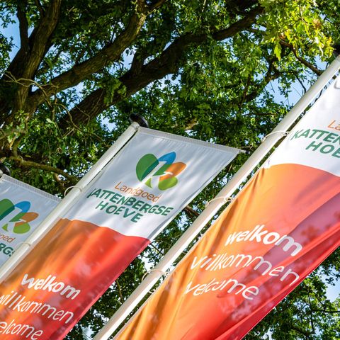 Mooi Twente lodges - Camping Hof van Twente - Afbeelding N°6