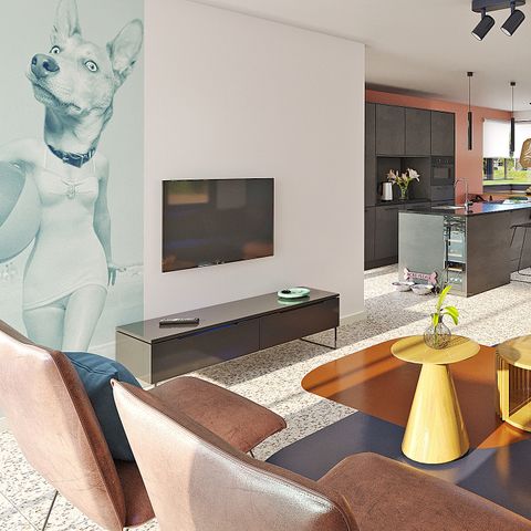 VAKANTIEHUIS 6 personen - Duingras Huisdiervriendelijk