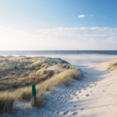 Dormio Nieuwvliet-Bad - Camping Sluis - Afbeelding N°2
