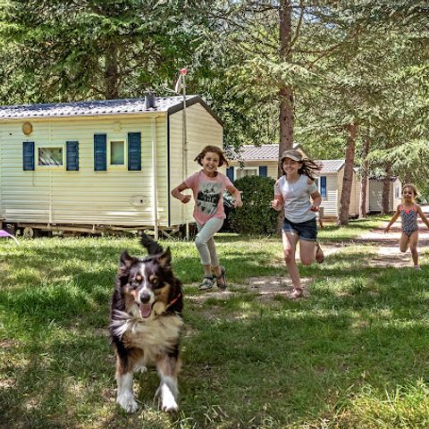 Camping Le Site de Castelbouc - Camping Lozère - Afbeelding N°4