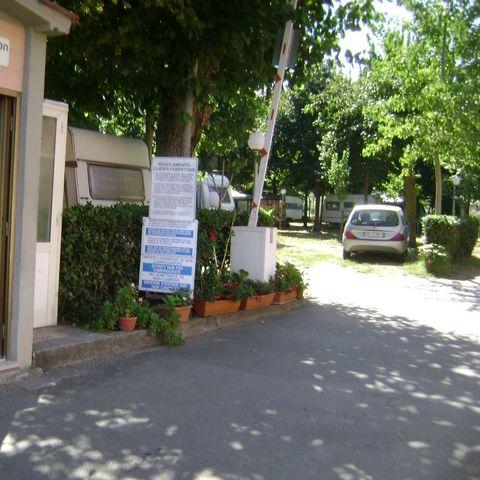 Camping Vigna di Valle - Camping Rome - Afbeelding N°4