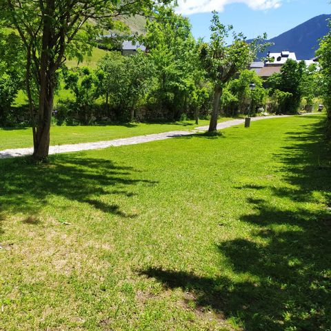 Camping Solau - Camping Lerida - Afbeelding N°6