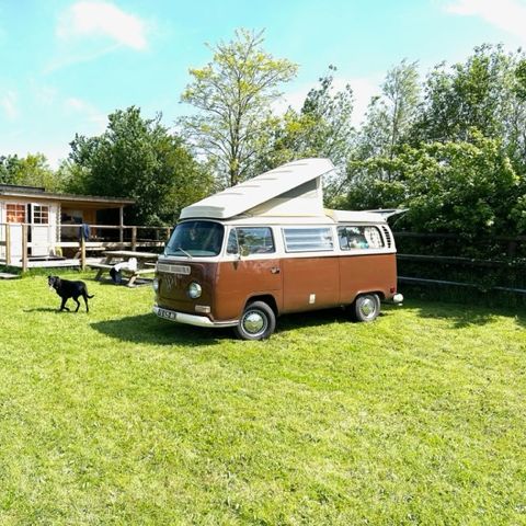 Camping et Relais équestre des Maupi - Camping Orne - Afbeelding N°3