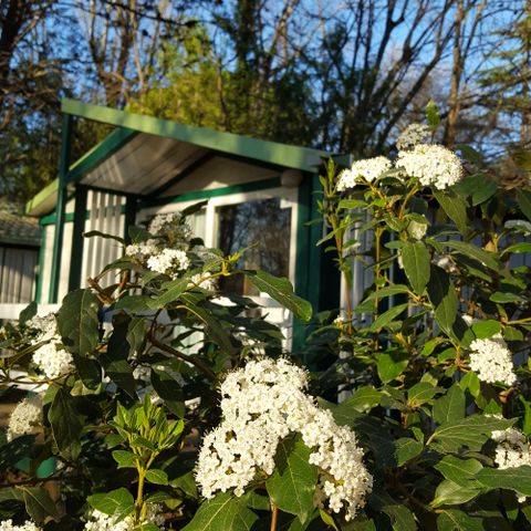 Chalet 5 personen - Eco 2 slaapkamers