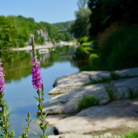 Camping Les Peupliers - Camping Ardèche - Afbeelding N°2