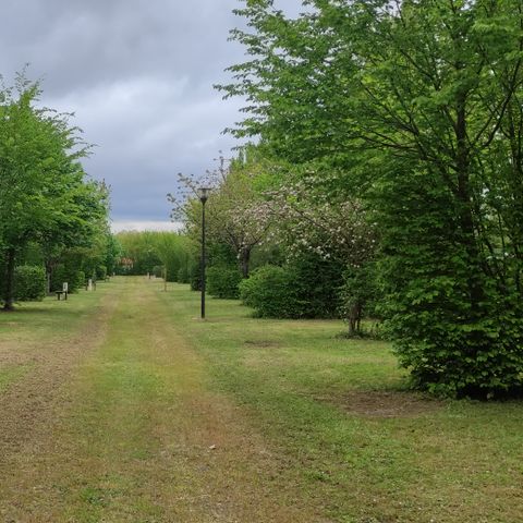 Camping le Petit Bocage - Camping Vendée - Afbeelding N°3