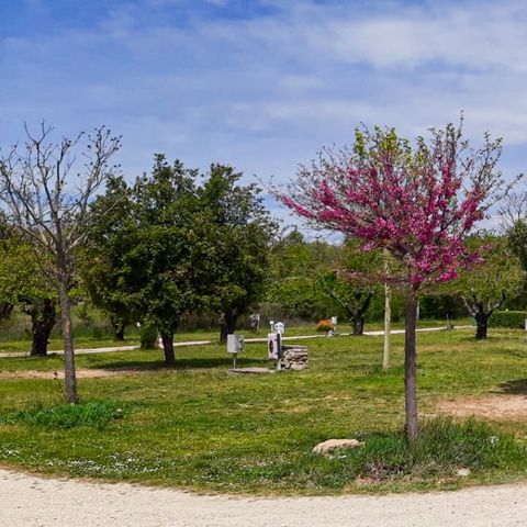 Camping Lubéa - Camping Vaucluse - Afbeelding N°6