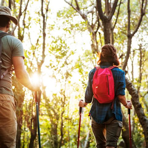 Camping Les Premières Vignes - Camping Côte-d'Or - Afbeelding N°2