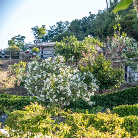 Camping Costabella - Camping La Spezia - Afbeelding N°6