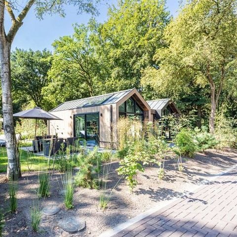 Lodge 4 personen - Lodge Royal Eco