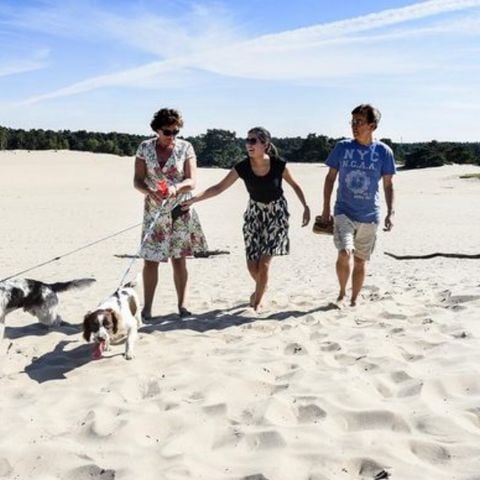 TopParken Résidence Lage Vuursche - Camping Baarn - Afbeelding N°6