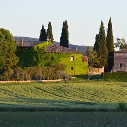 Podere Santa Clorinda - campeggio in Toscana - Camping Grosseto - Afbeelding N°2