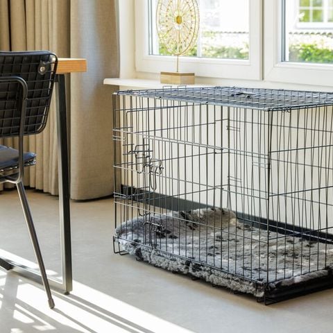 Bungalow 6 personen - Honden Comfort