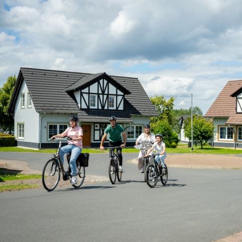 Landal Ferienresort Cochem - Rijnland-Palts - Afbeelding N°4