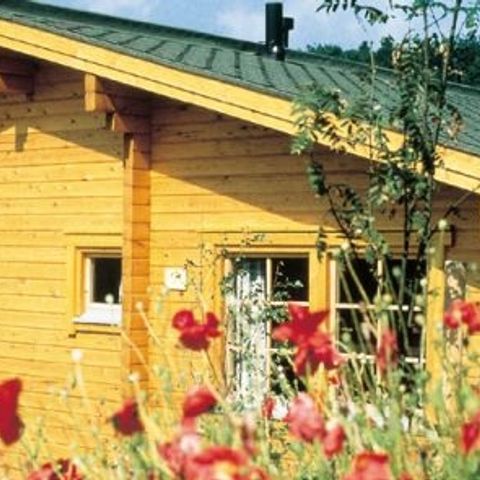 Werrapark Resort Ferienhausanlage am Sommerberg - Camping Thüringen - Afbeelding N°4