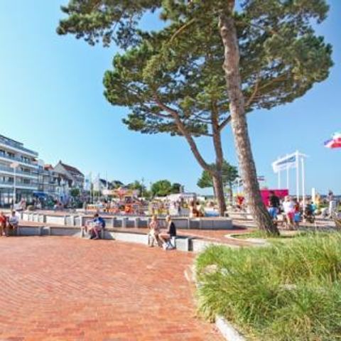 Ferienpark Scharbeutz Ostsee - Camping Sleeswijk-Holstein - Afbeelding N°2