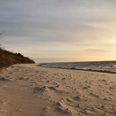 FYNNUS Feriendorf Am Bakenberg - Camping Mecklenburg-Voor-Pommeren - Afbeelding N°3