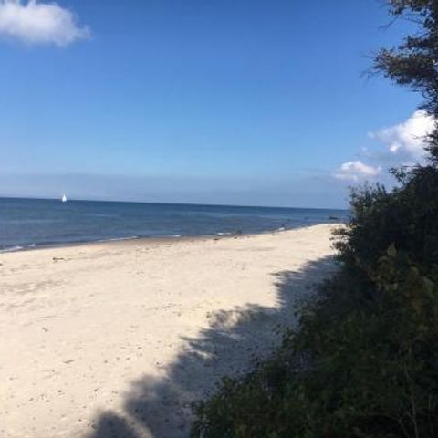 FYNNUS Feriendorf Am Bakenberg - Camping Mecklenburg-Voor-Pommeren - Afbeelding N°2