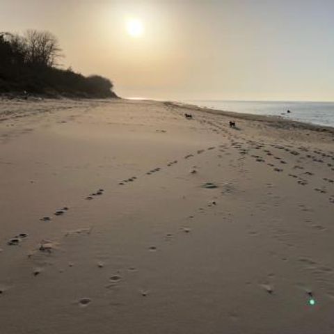 FYNNUS Feriendorf Am Bakenberg - Camping Mecklenburg-Voor-Pommeren - Afbeelding N°5