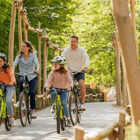 Center Parcs Park Eifel - Camping Rijnland-Palts - Afbeelding N°5