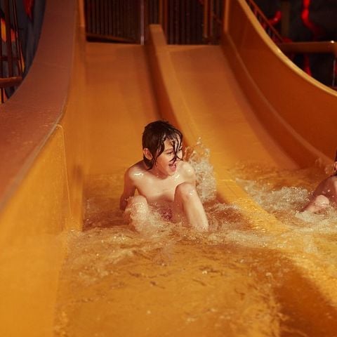 Center Parcs Park Eifel - Rijnland-Palts - Afbeelding N°2