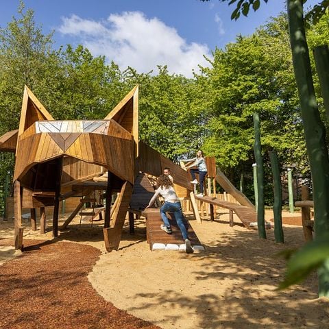Center Parcs Park Eifel - Camping Rijnland-Palts - Afbeelding N°4
