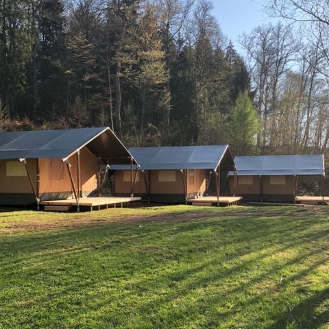 Safaritent 6 personen