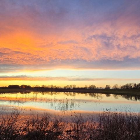 Vodatent Camping Elbeling  - Nedersaksen - Afbeelding N°3