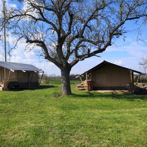 Safaritent 4 personen