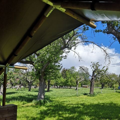 Safaritent 4 personen