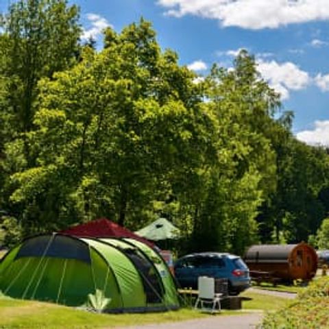 EuroParcs Biggesee - Camping Noordrijn-Westfalen - Afbeelding N°4