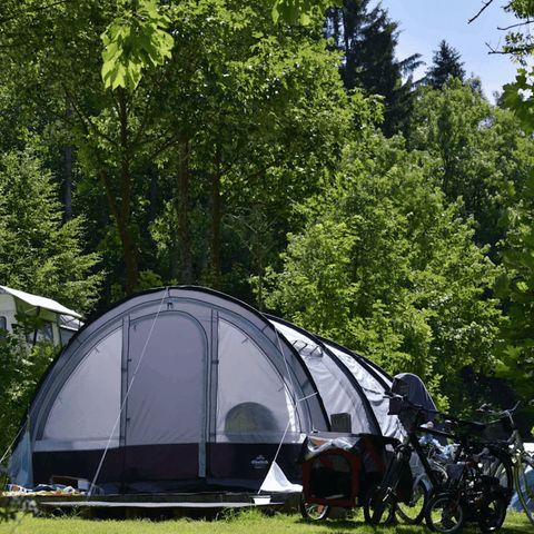 EuroParcs Biggesee - Camping Noordrijn-Westfalen - Afbeelding N°5