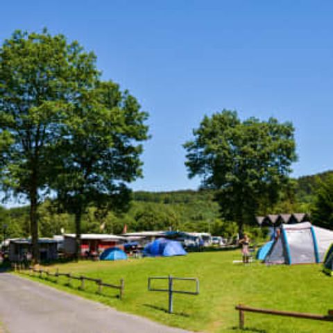 EuroParcs Biggesee - Camping Noordrijn-Westfalen - Afbeelding N°6