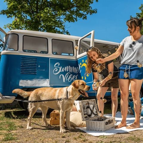 EuroParcs Biggesee - Camping Noordrijn-Westfalen - Afbeelding N°4