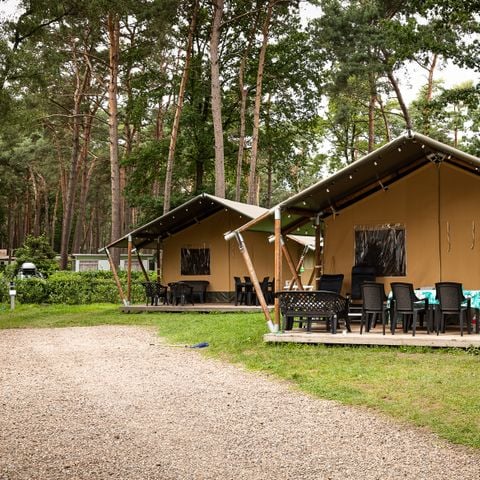 Safaritent 6 personen