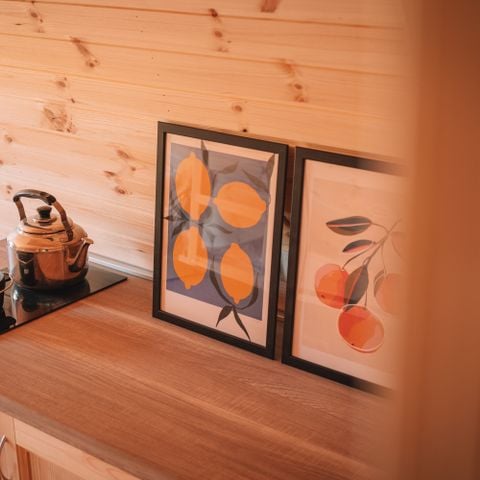 UNIEKE ACCOMMODATIE 4 personen - Pod