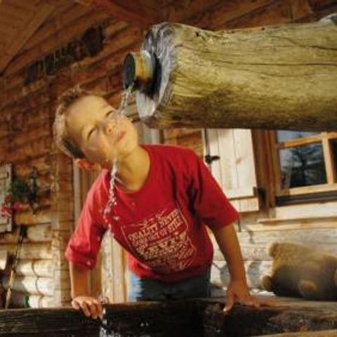 Gustocamp Camping Bella Austria - Camping Steiermark - Afbeelding N°5