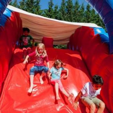 Gustocamp Camping Bella Austria - Camping Steiermark - Afbeelding N°4