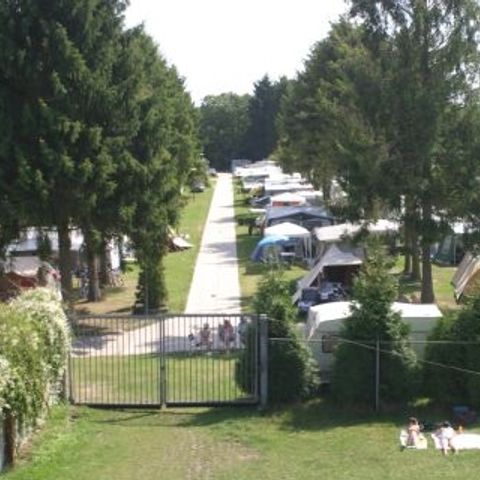 Vakantiecentrum De Lage Kempen - Camping Belgisch Limburg - Afbeelding N°6
