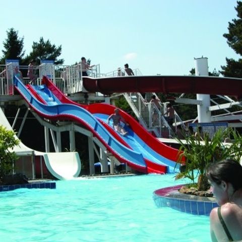 Vakantiecentrum De Lage Kempen - Camping Belgisch Limburg - Afbeelding N°3