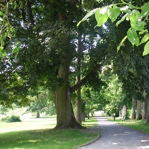 Gîte d'Etape de VillersSteGertrude - Camping Belgisch-Luxemburg - Afbeelding N°5