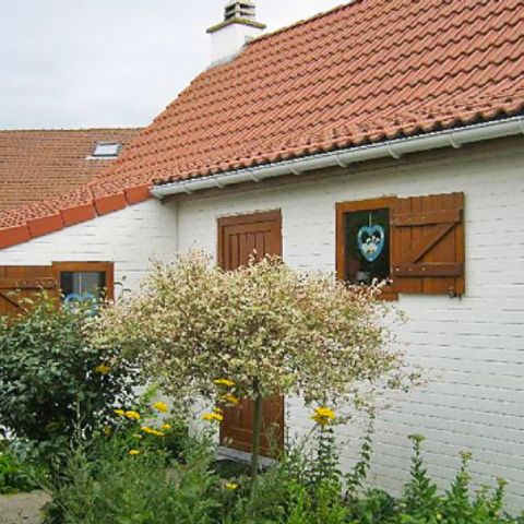 New Village Park - Camping West-Vlaanderen - Afbeelding N°2