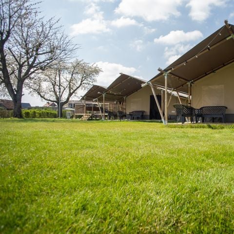 Safaritent 6 personen - premium Maaszicht