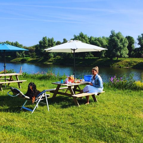 Vodatent Camping de Boomgaard - Belgisch Limburg - Afbeelding N°6