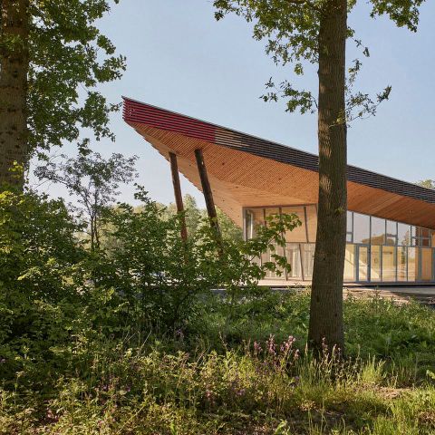Landal Forest Resort Your Nature  - Camping Henegouwen - Afbeelding N°5