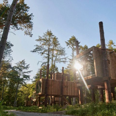 Landal Forest Resort Your Nature  - Camping Henegouwen - Afbeelding N°2